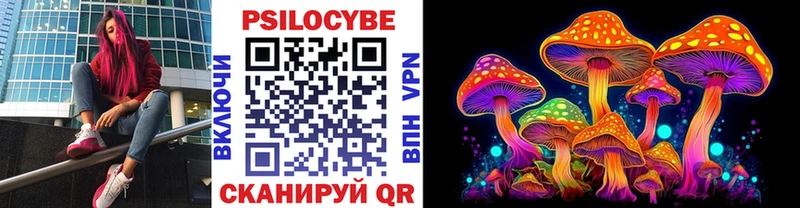 Псилоцибиновые грибы GOLDEN TEACHER  Купить закладки  Облучье 